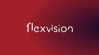 Flexvision 101: Şirketler veya Kurumlar İçin Gizlilik & Güvenlik Sayfa