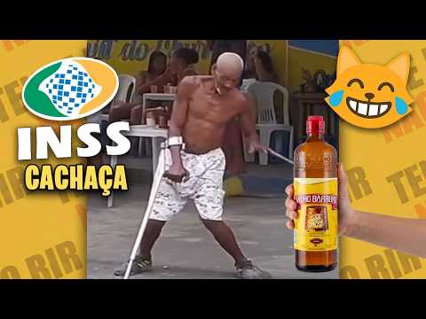 TENTE NÃO RIR 🤣 VÍDEOS ENGRAÇADOS E MELHORES MEMES DA INTERNET