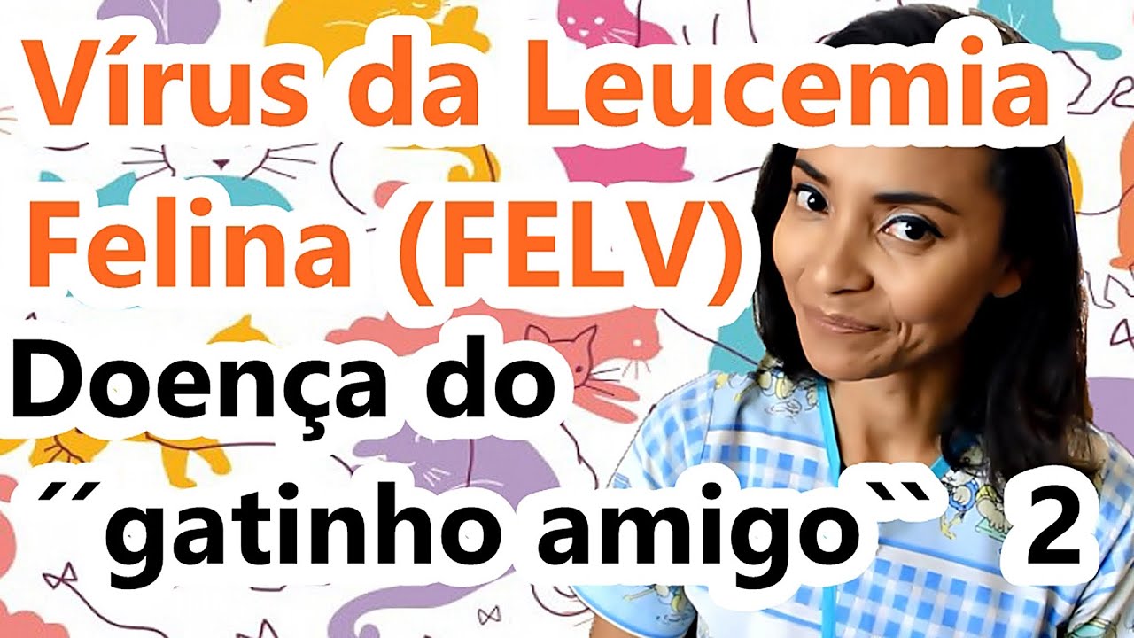 #FELV - VÍRUS DA LEUCEMIA FELINA - A DOENÇA DO GATINHO AMIGO PARTE 2