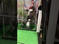 Cat In The Hat Car Shorts