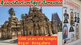 Temple video