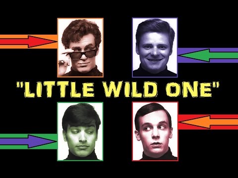 "Little Wild One" (Lyrics) 💖 THE WONDERS 💖 1996