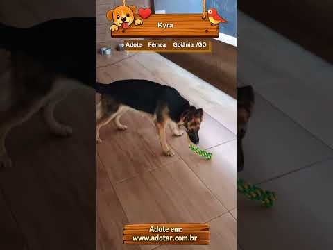 Vídeo de Kyra
