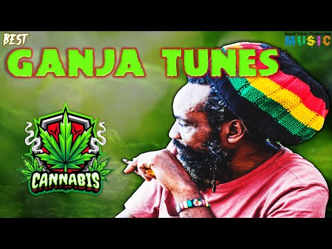 🔥Best Ganja Tunes | Feat....Peter Tosh, Cocoa Tea, Buju Banton, Collie Buddz & More by DJ Alkazed 🇯🇲