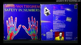 David Van Tieghem - All Safe