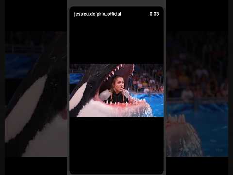 Jessica Orca Attack #jessica #dolphin