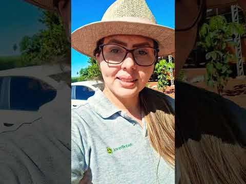 Urucum, flor, semente em Viradouro SP #farming #cooking #plants #seeds #agro ##agriculture #saopaulo