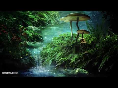 Into a Mystical Forest    Enchanted Celtic Music @432 Hz    Nature Sounds    Magical Forest Music