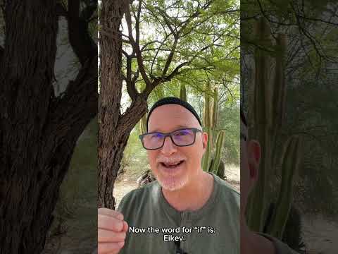 What Can You Know for Sure? | Parshat Eikev #kabbalah #meditation #torah