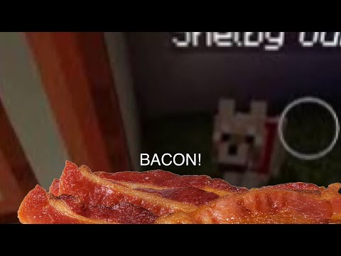Talking kitty cat in Minecraft-27 BACON!