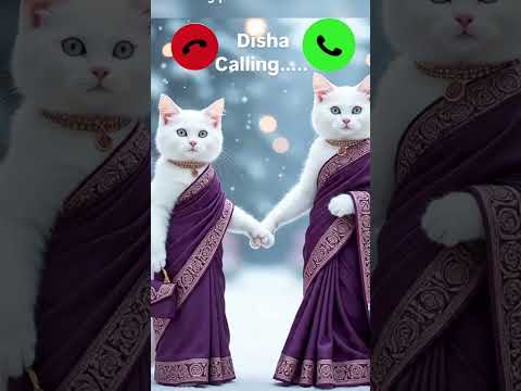 disha calling ✨🤙viral 🔥ringtone mi#🤙viralshortvedeo#yt#short#vedeo#cute#cat#disha#calling#mi#ring#🤙#