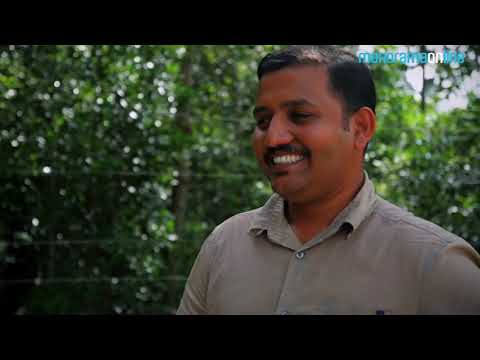 WildPlanet Documentary Tamil