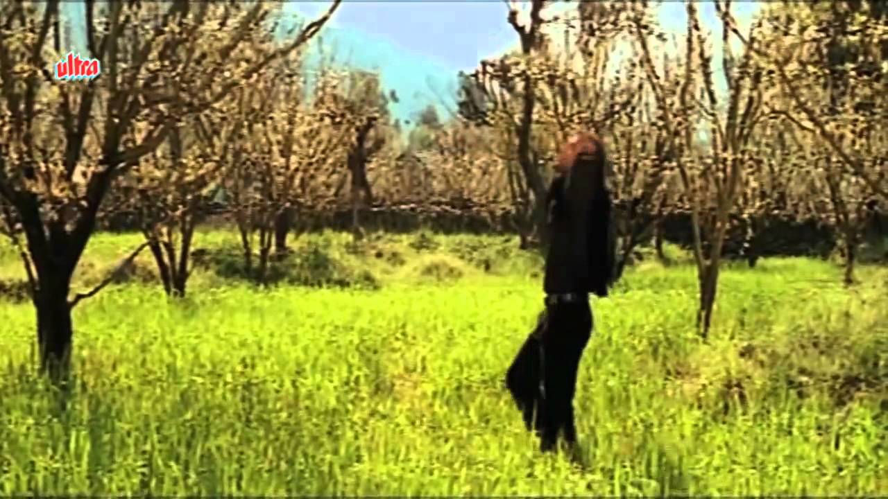 Aa Kahee Dur Chale Jaye Ham Lyrics | Laawaris | Alka Yagnik, Udit Narayan | Rajesh Roshan