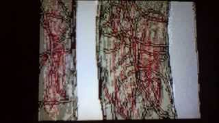 burningflame og backstory flipnote circa ?2009¿