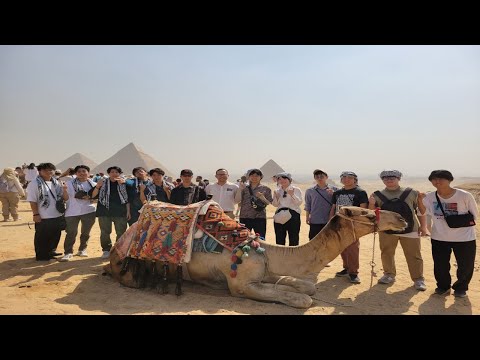 広島大学　STARTプログラム（短期留学プログラム）紹介動画（30秒ver）