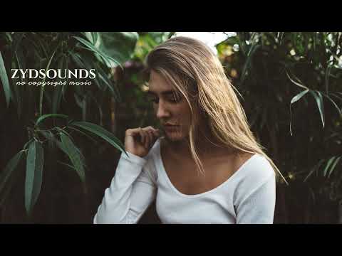 ILLENIUM & Dillon Francis - Don't Let Me Let Go ft. Evan Giia