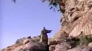 Circle of Life - Lebo M