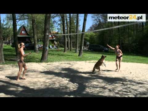 Domki Nad Jeziorem Różane, Stajnia Sarnówek - Rozajny meteor24.pl