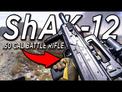 The .50 CAL Battle Rifle - Tactical ShAK-12 (ODEN) in Modern Warfare 2019