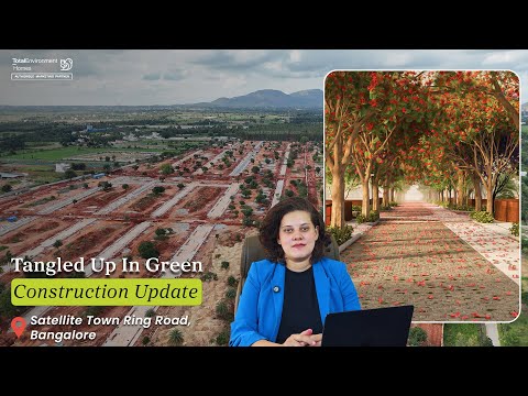 Tangled Up in Green Total Environment | Latest Construction Update - 2025 | 📞+91 95605 09669