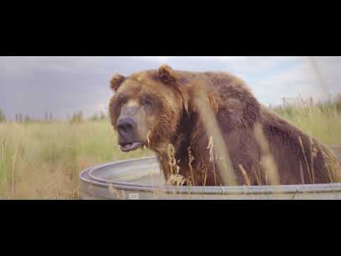 Voices of Freedom - Max