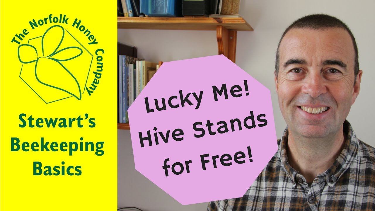 Lucky Me, Beehive Stands for Free! Beekeeping Basics - The Norfolk Honey Co.