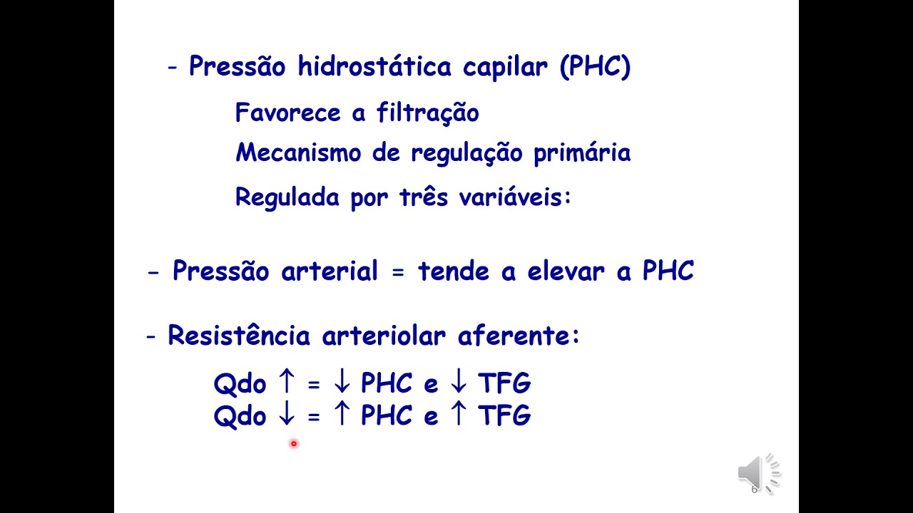 Fisiologia do Sistema Renal parte 2