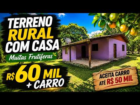 Vídeo