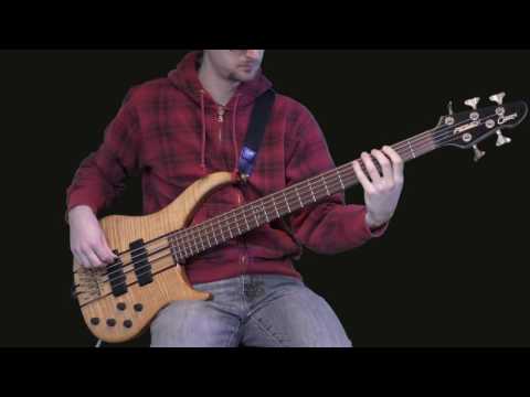 Jack Lenz - Goosebumps theme [bass cover]