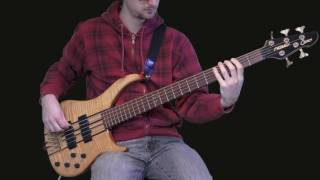 Jack Lenz - Goosebumps theme [bass cover]