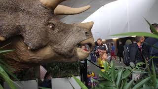 3-Meter Tall Triceratops 3D Printed By Metropole Stops Commuters In Their Path