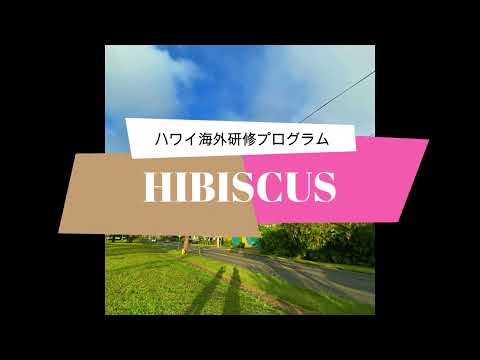児童教育学科 20220623【国際観光ビジネス学科】HIBISCUS program ハワイ(留学)海外研修プログラム