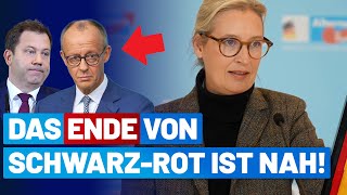 Presseerklärung von Alice Weidel & Tino Chrupalla - AfD-Fraktion im Bundestag