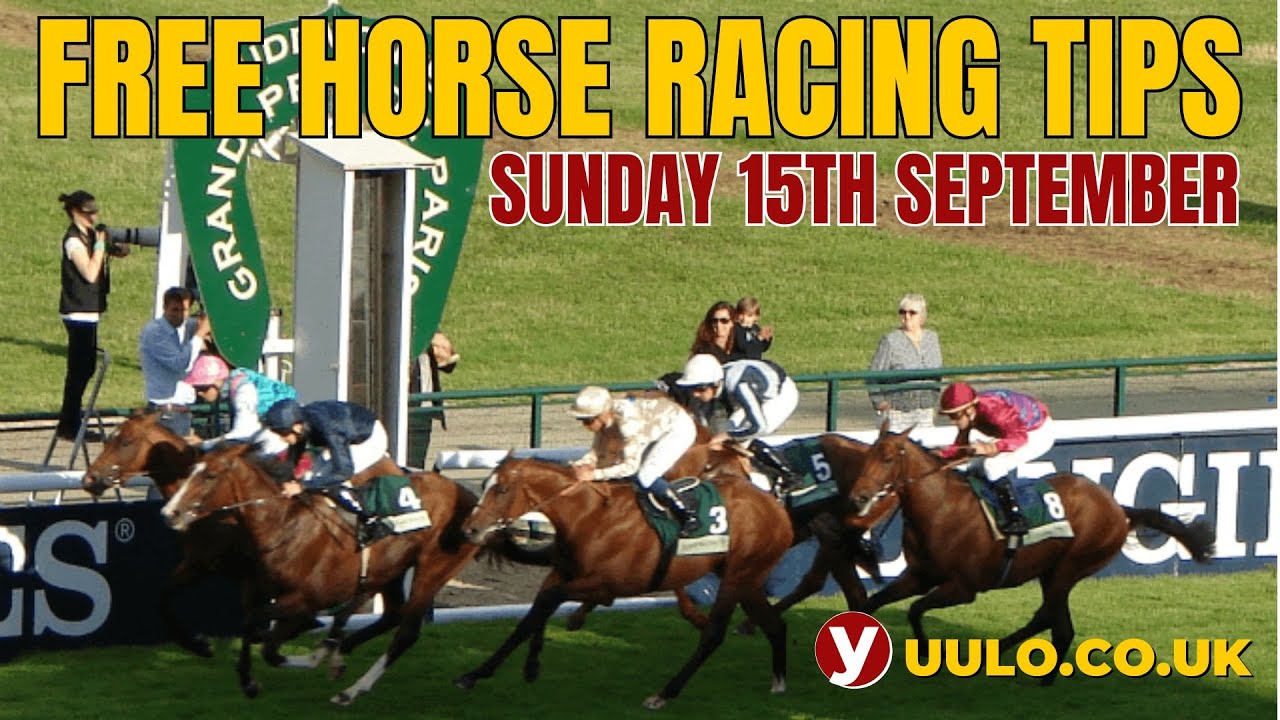 NAP & NB 🏇The Mandarin’s Sunday Selections for 15th September 2024🏇