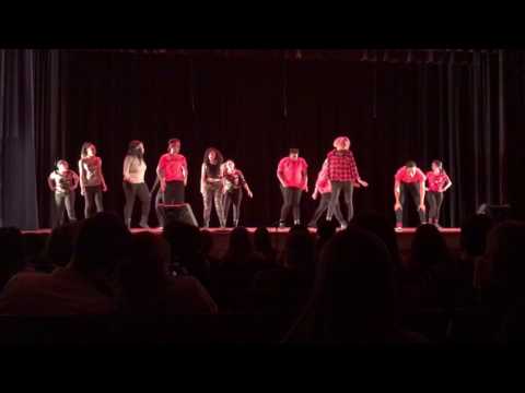 Alter Egos Variety Show 2017