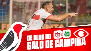 DE OLHO NO GALO DE CAMPINA - CRB X JUVENTUDE