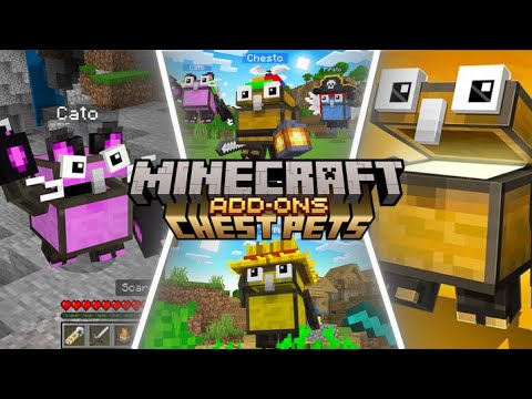 EPIC! DoctorHg's Chest Pets in Minecraft! 🔥