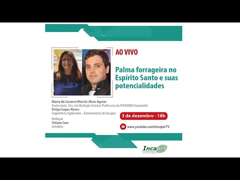 Palma forrageira no Espírito Santo e suas potencialidades