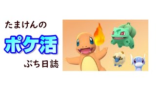 【ポケモンGO】やっとテラキオンに挑んできました！ゲットチャレンジの結果は...【黒タマゴ】