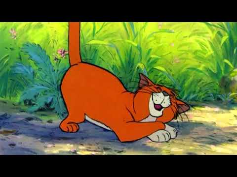 Ladyhontas part 12 - Unusual Words