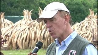 Live Report - Ivory Burning, Interview with Marco Lembartini, Director General of WWF International