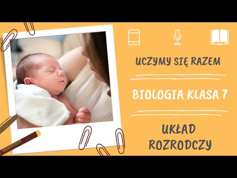 Biologia klasa 7. Układ rozrodczy. Uczymy się razem