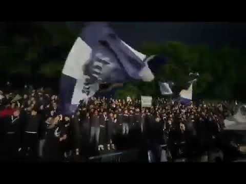 Peluza Nord FC Corvinul 1921 Hunedoara