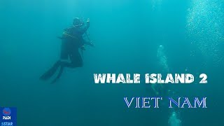 preview picture of video 'Whale Islands Vietnam Diving 2'