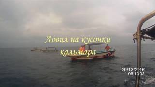 Морская рыбалка в индийском океане