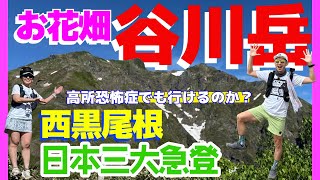 [Tanigawadake] Go up the Nishikuro Ridge, one of Japan's three steepest climbs! A paradise for al...