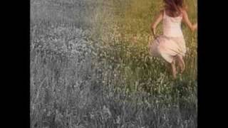 Pictures of You by The Last Goodnight with lyrics