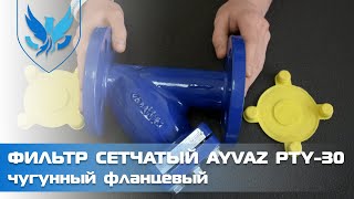 Фильтр сетчатый фланцевый чугунный Ayvaz PTY-30