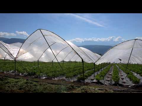 Ethical Banking zu Gast beim Willelehof in Jenesien