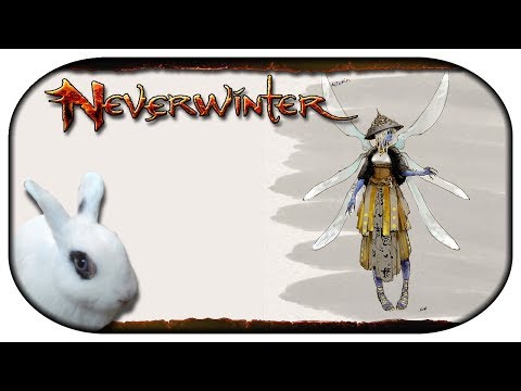 NEVERWINTER: Paladin-LP 🐇 127 - Ein Halb-Elf/Menschen-Wurm, der gehen kann